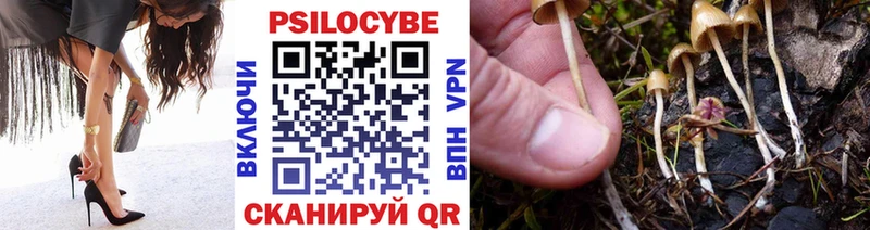 Псилоцибиновые грибы Psilocybine cubensis  Купить закладки  Дальнегорск 