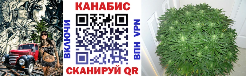Купить где Дальнегорск Шишки марихуана MAZAR